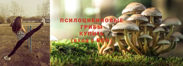 прущие грибы Абдулино